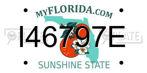 I46797E Florida License Plate