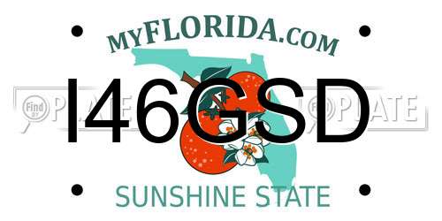 I46GSD Florida License Plate