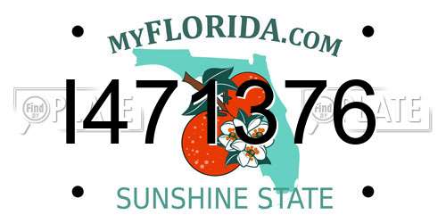 I471376 Florida License Plate