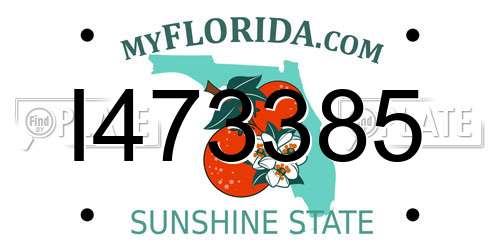 I473385 Florida License Plate