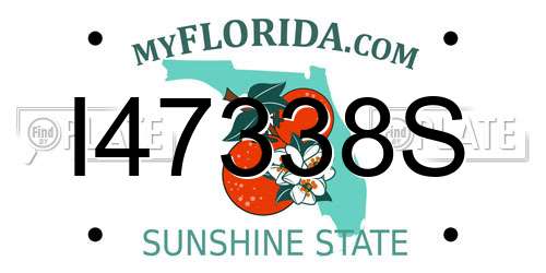 I47338S Florida License Plate