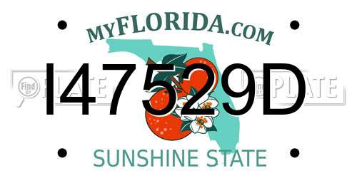 I47529D Florida License Plate