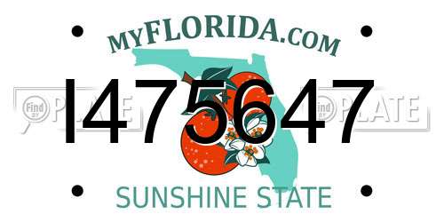 I475647 Florida License Plate