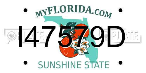 I47579D Florida License Plate