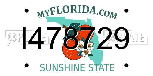 I478729 Florida License Plate