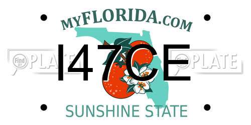 I47CE Florida License Plate