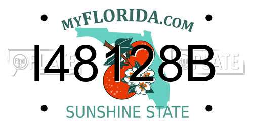 I48128B Florida License Plate