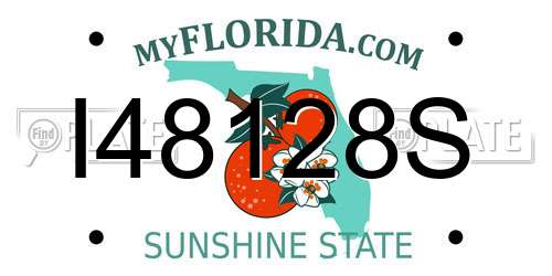 I48128S Florida License Plate