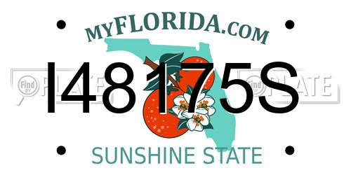I48175S Florida License Plate
