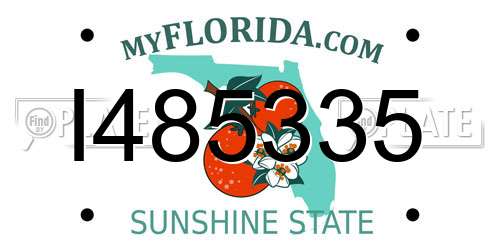 I485335 Florida License Plate