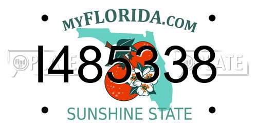 I485338 Florida License Plate