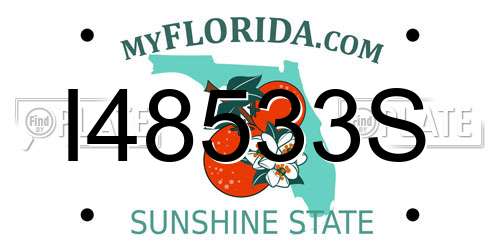 I48533S Florida License Plate