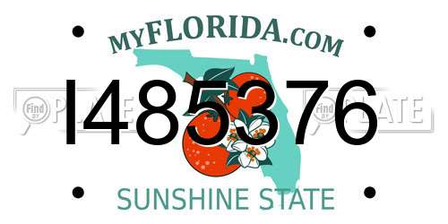 I485376 Florida License Plate