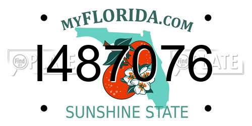 I487076 Florida License Plate
