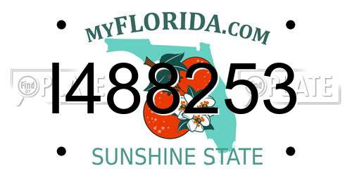 I488253 Florida License Plate