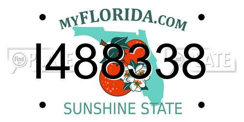 I488338 Florida License Plate