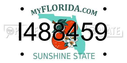 I488459 Florida License Plate