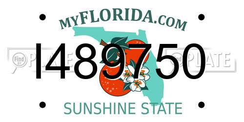 I489750 Florida License Plate