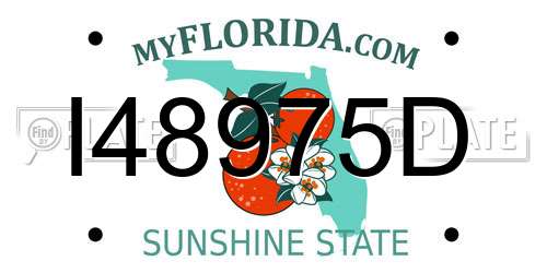 I48975D Florida License Plate