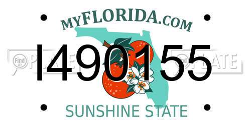 I490155 Florida License Plate
