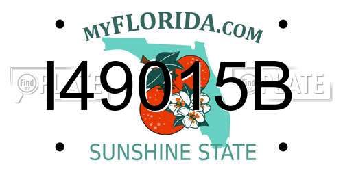 I49015B Florida License Plate
