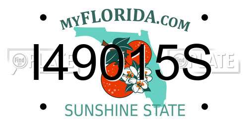 I49015S Florida License Plate
