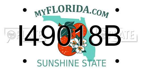 I49018B Florida License Plate