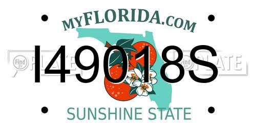 I49018S Florida License Plate