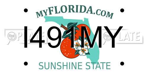 I491MY Florida License Plate