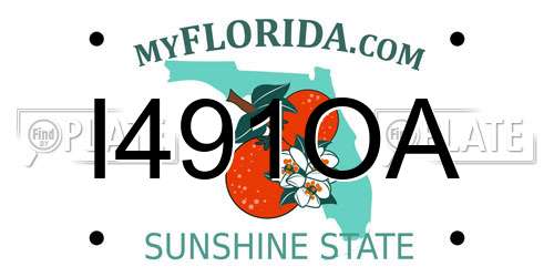 I491OA Florida License Plate