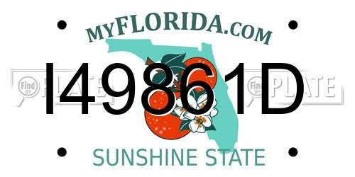 I49861D Florida License Plate