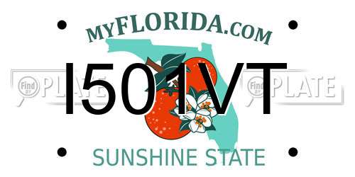 I501VT Florida License Plate