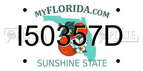 I50357D Florida License Plate