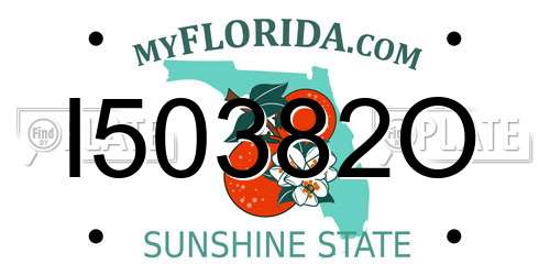 I50382O Florida License Plate