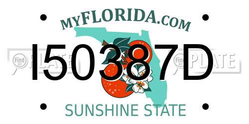 I50387D Florida License Plate