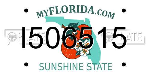 I506515 Florida License Plate