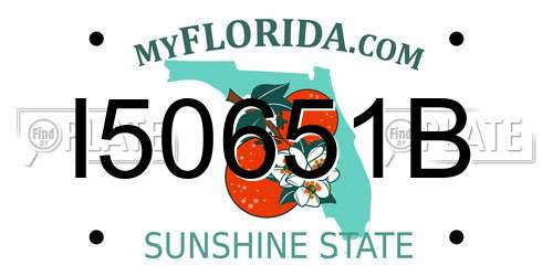I50651B Florida License Plate