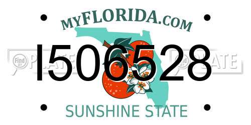 I506528 Florida License Plate