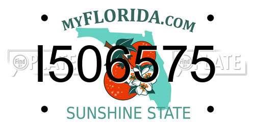 I506575 Florida License Plate