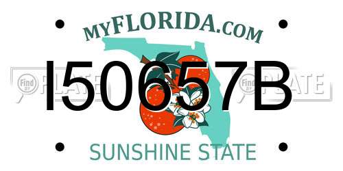 I50657B Florida License Plate