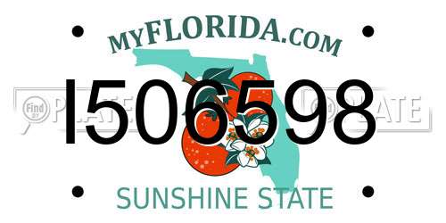 I506598 Florida License Plate