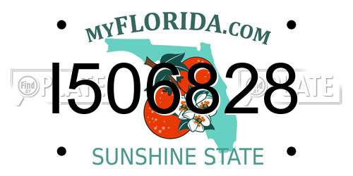 I506828 Florida License Plate