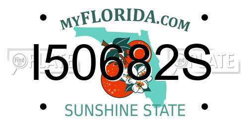 I50682S Florida License Plate