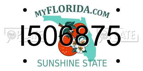 I506875 Florida License Plate