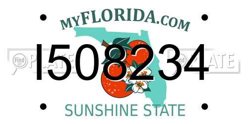 I508234 Florida License Plate