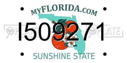 I509271 Florida License Plate