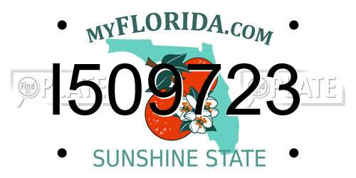 I509723 Florida License Plate