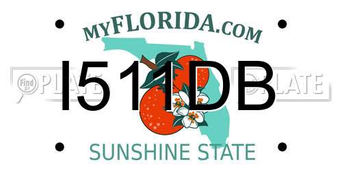 I511DB Florida License Plate