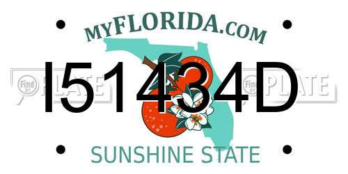I51434D Florida License Plate