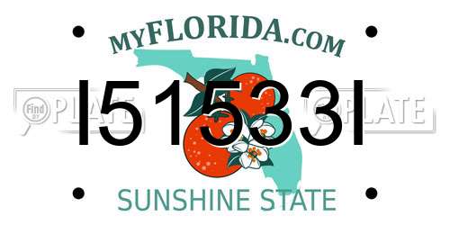 I51533I Florida License Plate